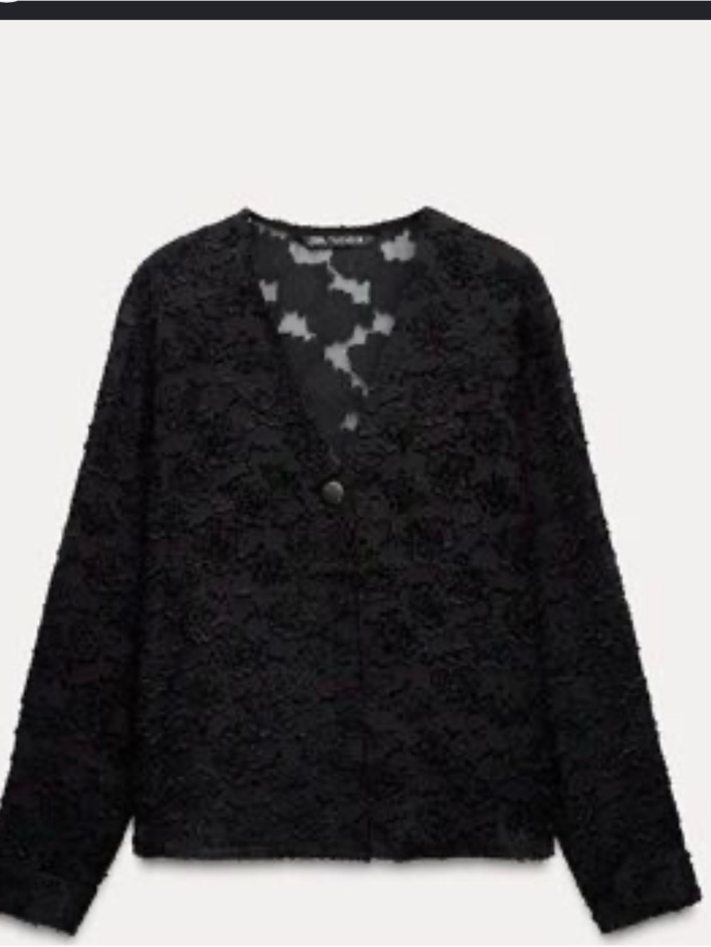 Zara Black Sheer Design V-Neck Blouse